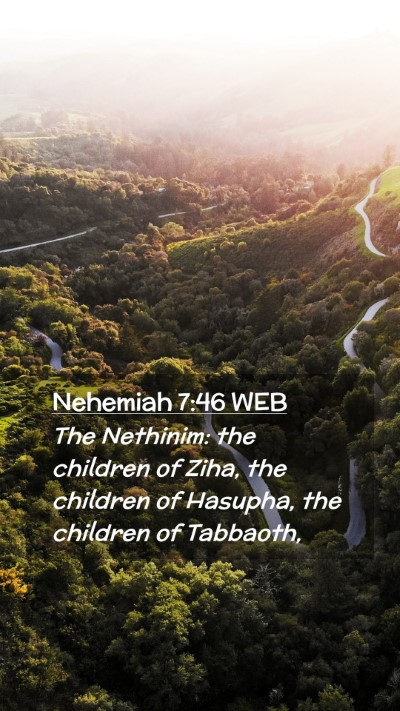 Picture 02 - Nehemiah 7:46 WEB Mobile Phone Wallpaper - The Nethinim: the children of Ziha, the children - Mobile Bible Verse Wallpaper