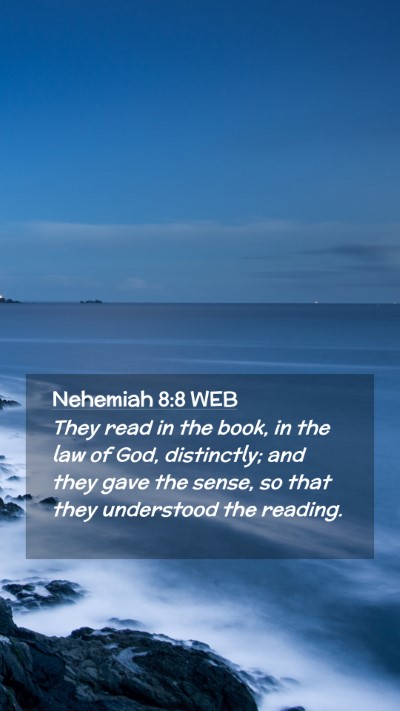 Picture 02 - Nehemiah 8:8 WEB Mobile Phone Wallpaper - They read in the book, in the law of God, - Mobile Bible Verse Wallpaper