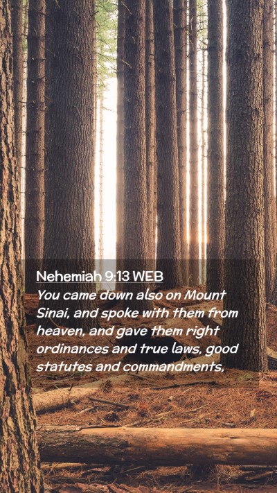 Picture 02 - Nehemiah 9:13 WEB Mobile Phone Wallpaper - You came down also on Mount Sinai, and spoke with - Mobile Bible Verse Wallpaper