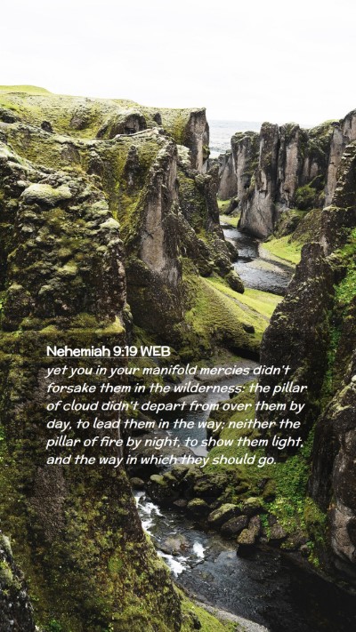 Picture 02 - Nehemiah 9:19 WEB Mobile Phone Wallpaper - yet you in your manifold mercies didn't forsake - Mobile Bible Verse Wallpaper