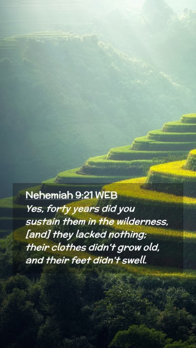 Picture 02 - Nehemiah 9:21 WEB Mobile Phone Wallpaper - Yes, forty years did you sustain them in the - Mobile Bible Verse Wallpaper