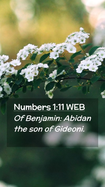 Picture 02 - Numbers 1:11 WEB Mobile Phone Wallpaper - Of Benjamin: Abidan the son of - Mobile Bible Verse Wallpaper