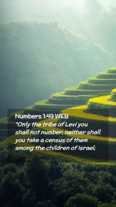 Picture 02 - Numbers 1:49 WEB Mobile Phone Wallpaper - 