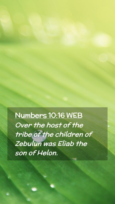 Picture 02 - Numbers 10:16 WEB Mobile Phone Wallpaper - Over the host of the tribe of the children of - Mobile Bible Verse Wallpaper
