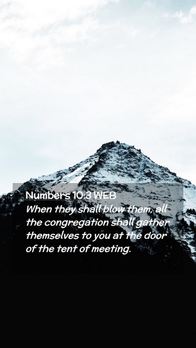 Picture 02 - Numbers 10:3 WEB Mobile Phone Wallpaper - When they shall blow them, all the congregation - Mobile Bible Verse Wallpaper