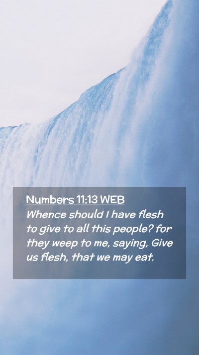 Picture 02 - Numbers 11:13 WEB Mobile Phone Wallpaper - Whence should I have flesh to give to all this - Mobile Bible Verse Wallpaper
