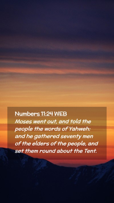 Picture 02 - Numbers 11:24 WEB Mobile Phone Wallpaper - Moses went out, and told the people the words of - Mobile Bible Verse Wallpaper