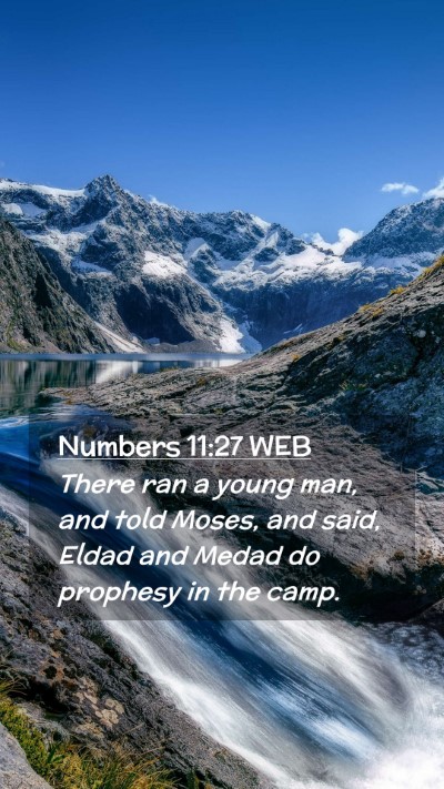 Picture 02 - Numbers 11:27 WEB Mobile Phone Wallpaper - There ran a young man, and told Moses, and said, - Mobile Bible Verse Wallpaper