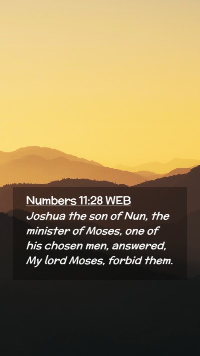 Picture 02 - Numbers 11:28 WEB Mobile Phone Wallpaper - Joshua the son of Nun, the minister of Moses, one - Mobile Bible Verse Wallpaper