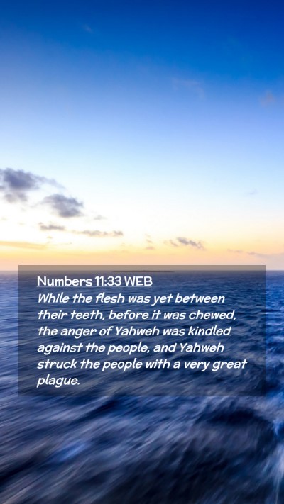 Picture 02 - Numbers 11:33 WEB Mobile Phone Wallpaper - While the flesh was yet between their teeth, - Mobile Bible Verse Wallpaper