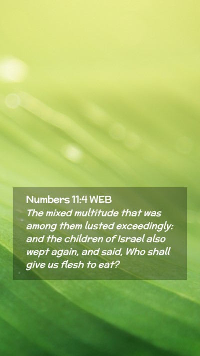 Picture 02 - Numbers 11:4 WEB Mobile Phone Wallpaper - The mixed multitude that was among them lusted - Mobile Bible Verse Wallpaper