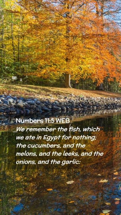 Picture 02 - Numbers 11:5 WEB Mobile Phone Wallpaper - We remember the fish, which we ate in Egypt for - Mobile Bible Verse Wallpaper