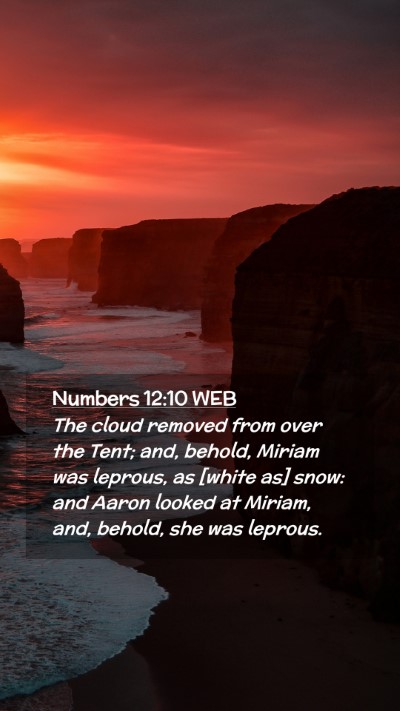 Picture 02 - Numbers 12:10 WEB Mobile Phone Wallpaper - The cloud removed from over the Tent; and, - Mobile Bible Verse Wallpaper