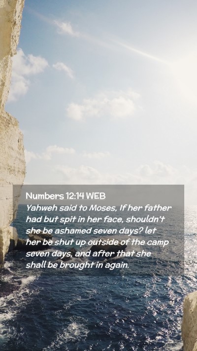 Picture 02 - Numbers 12:14 WEB Mobile Phone Wallpaper - Yahweh said to Moses, If her father had but spit - Mobile Bible Verse Wallpaper