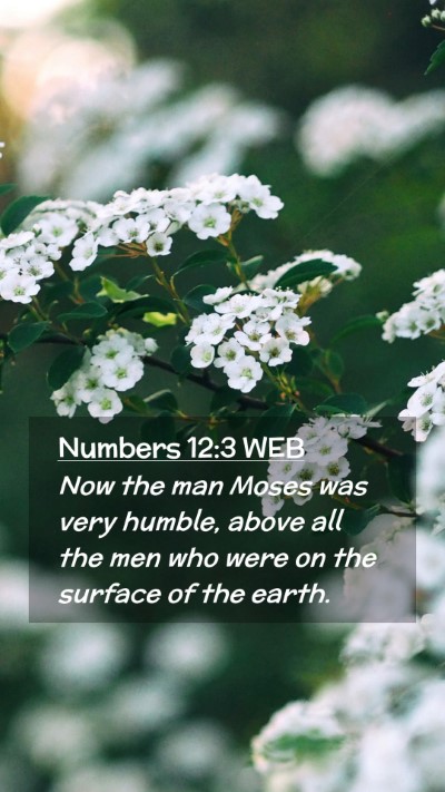 Picture 02 - Numbers 12:3 WEB Mobile Phone Wallpaper - Now the man Moses was very humble, above all the - Mobile Bible Verse Wallpaper