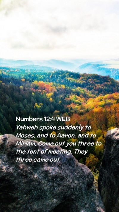 Picture 02 - Numbers 12:4 WEB Mobile Phone Wallpaper - Yahweh spoke suddenly to Moses, and to Aaron, and - Mobile Bible Verse Wallpaper