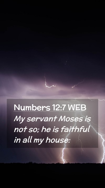 Picture 02 - Numbers 12:7 WEB Mobile Phone Wallpaper - My servant Moses is not so; he is faithful in all - Mobile Bible Verse Wallpaper