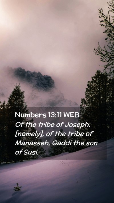 Picture 02 - Numbers 13:11 WEB Mobile Phone Wallpaper - Of the tribe of Joseph, [namely], of the tribe of - Mobile Bible Verse Wallpaper