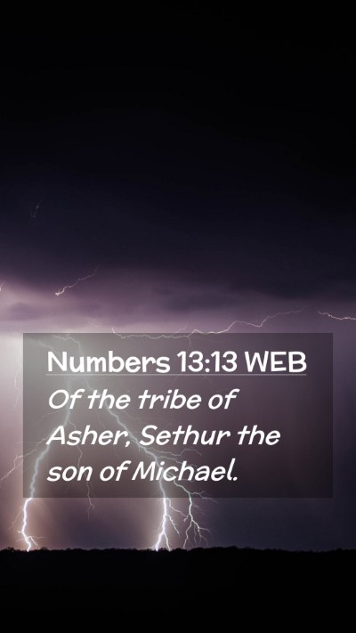 Picture 02 - Numbers 13:13 WEB Mobile Phone Wallpaper - Of the tribe of Asher, Sethur the son of - Mobile Bible Verse Wallpaper