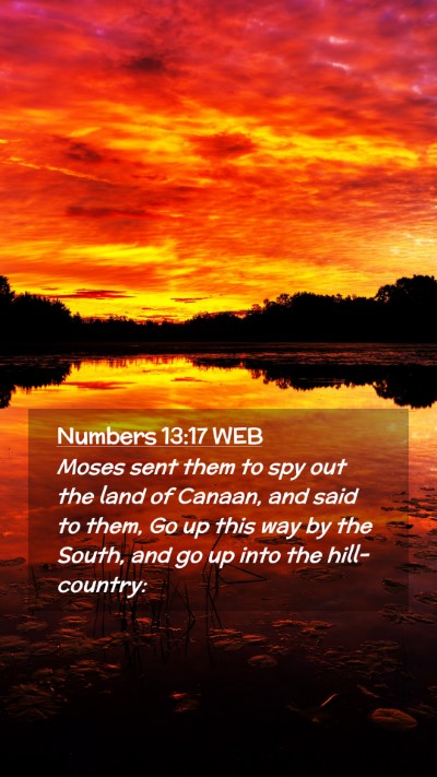Picture 02 - Numbers 13:17 WEB Mobile Phone Wallpaper - Moses sent them to spy out the land of Canaan, - Mobile Bible Verse Wallpaper
