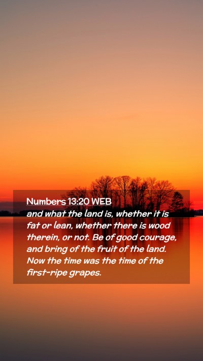Picture 02 - Numbers 13:20 WEB Mobile Phone Wallpaper - and what the land is, whether it is fat or lean, - Mobile Bible Verse Wallpaper