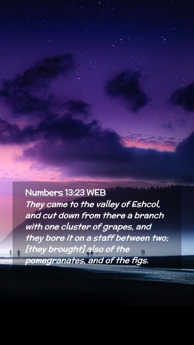 Picture 02 - Numbers 13:23 WEB Mobile Phone Wallpaper - They came to the valley of Eshcol, and cut down - Mobile Bible Verse Wallpaper