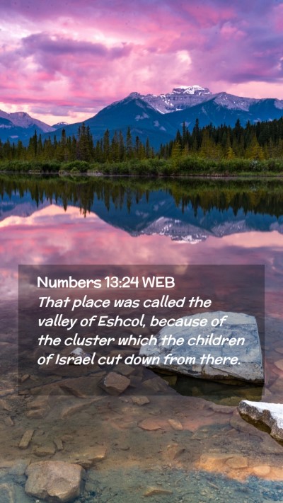 Picture 02 - Numbers 13:24 WEB Mobile Phone Wallpaper - That place was called the valley of Eshcol, - Mobile Bible Verse Wallpaper