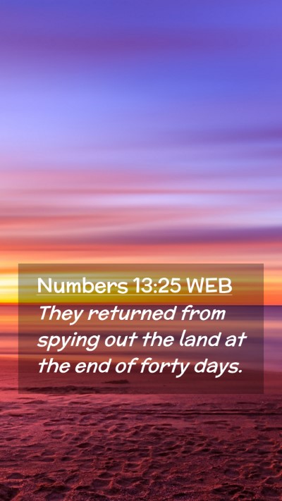 Picture 02 - Numbers 13:25 WEB Mobile Phone Wallpaper - They returned from spying out the land at the end - Mobile Bible Verse Wallpaper