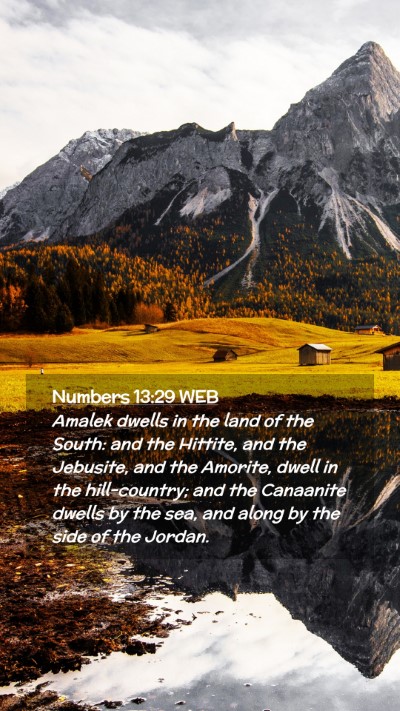 Picture 02 - Numbers 13:29 WEB Mobile Phone Wallpaper - Amalek dwells in the land of the South: and the - Mobile Bible Verse Wallpaper
