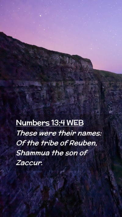 Picture 02 - Numbers 13:4 WEB Mobile Phone Wallpaper - These were their names: Of the tribe of Reuben, - Mobile Bible Verse Wallpaper