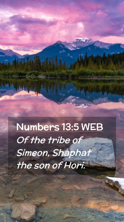 Picture 02 - Numbers 13:5 WEB Mobile Phone Wallpaper - Of the tribe of Simeon, Shaphat the son of - Mobile Bible Verse Wallpaper