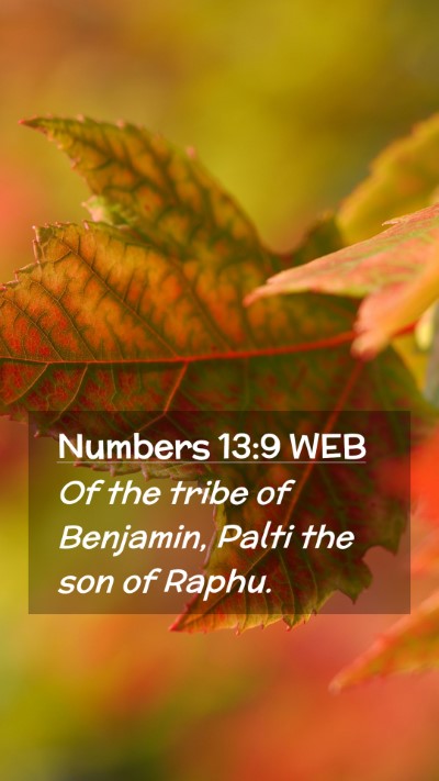 Picture 02 - Numbers 13:9 WEB Mobile Phone Wallpaper - Of the tribe of Benjamin, Palti the son of - Mobile Bible Verse Wallpaper