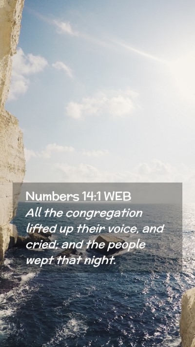 Picture 02 - Numbers 14:1 WEB Mobile Phone Wallpaper - All the congregation lifted up their voice, and - Mobile Bible Verse Wallpaper