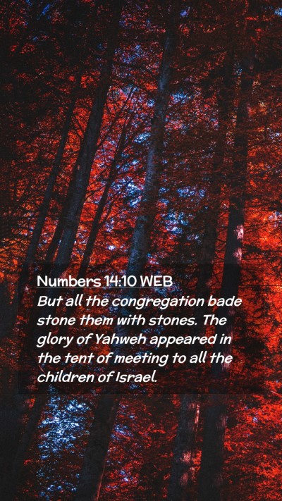 Picture 02 - Numbers 14:10 WEB Mobile Phone Wallpaper - But all the congregation bade stone them with - Mobile Bible Verse Wallpaper