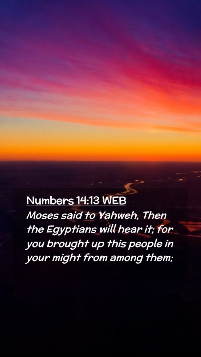 Picture 02 - Numbers 14:13 WEB Mobile Phone Wallpaper - Moses said to Yahweh, Then the Egyptians will - Mobile Bible Verse Wallpaper