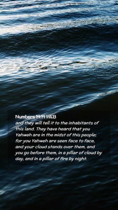 Picture 02 - Numbers 14:14 WEB Mobile Phone Wallpaper - and they will tell it to the inhabitants of this - Mobile Bible Verse Wallpaper