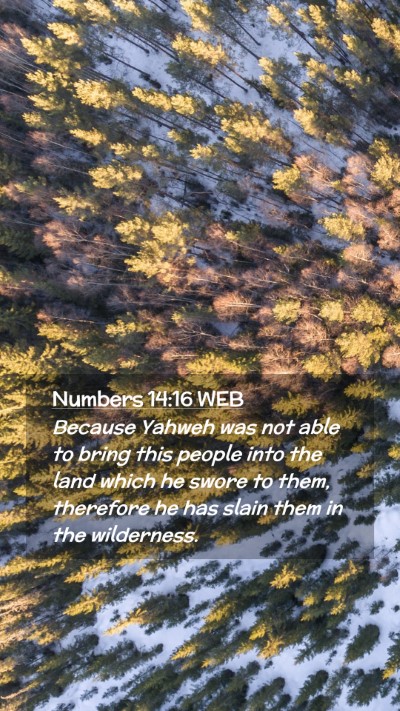 Picture 02 - Numbers 14:16 WEB Mobile Phone Wallpaper - Because Yahweh was not able to bring this people - Mobile Bible Verse Wallpaper