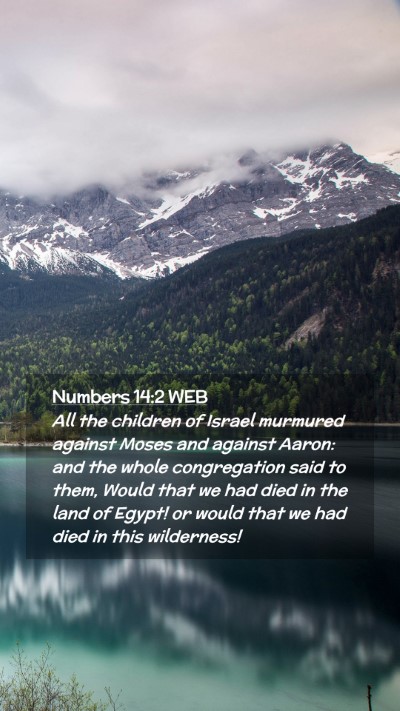Picture 02 - Numbers 14:2 WEB Mobile Phone Wallpaper - All the children of Israel murmured against Moses - Mobile Bible Verse Wallpaper