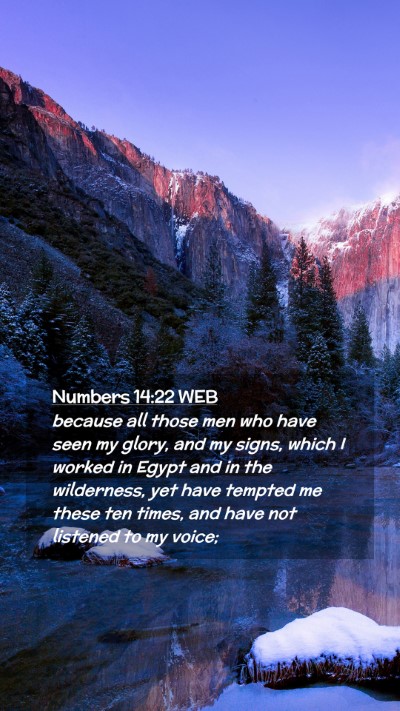 Picture 02 - Numbers 14:22 WEB Mobile Phone Wallpaper - because all those men who have seen my glory, and - Mobile Bible Verse Wallpaper
