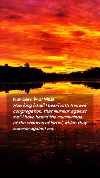 Picture 02 - Numbers 14:27 WEB Mobile Phone Wallpaper - How long [shall I bear] with this evil - Mobile Bible Verse Wallpaper