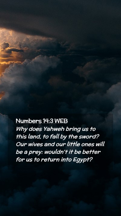 Picture 02 - Numbers 14:3 WEB Mobile Phone Wallpaper - Why does Yahweh bring us to this land, to fall by - Mobile Bible Verse Wallpaper