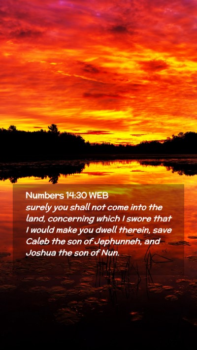 Picture 02 - Numbers 14:30 WEB Mobile Phone Wallpaper - surely you shall not come into the land, - Mobile Bible Verse Wallpaper