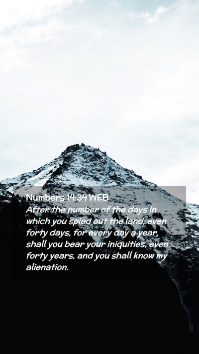 Picture 02 - Numbers 14:34 WEB Mobile Phone Wallpaper - After the number of the days in which you spied - Mobile Bible Verse Wallpaper
