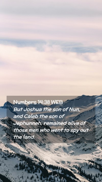 Picture 02 - Numbers 14:38 WEB Mobile Phone Wallpaper - But Joshua the son of Nun, and Caleb the son of - Mobile Bible Verse Wallpaper