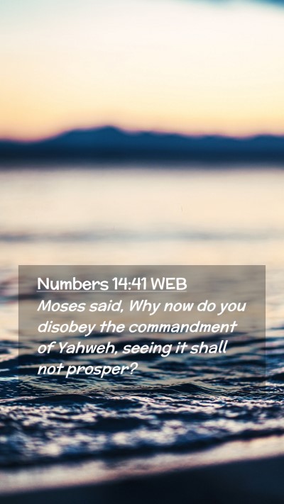 Picture 02 - Numbers 14:41 WEB Mobile Phone Wallpaper - Moses said, Why now do you disobey the - Mobile Bible Verse Wallpaper