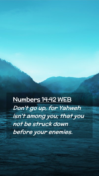 Picture 02 - Numbers 14:42 WEB Mobile Phone Wallpaper - Don't go up, for Yahweh isn't among you; that you - Mobile Bible Verse Wallpaper
