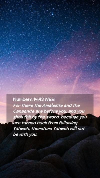Picture 02 - Numbers 14:43 WEB Mobile Phone Wallpaper - For there the Amalekite and the Canaanite are - Mobile Bible Verse Wallpaper