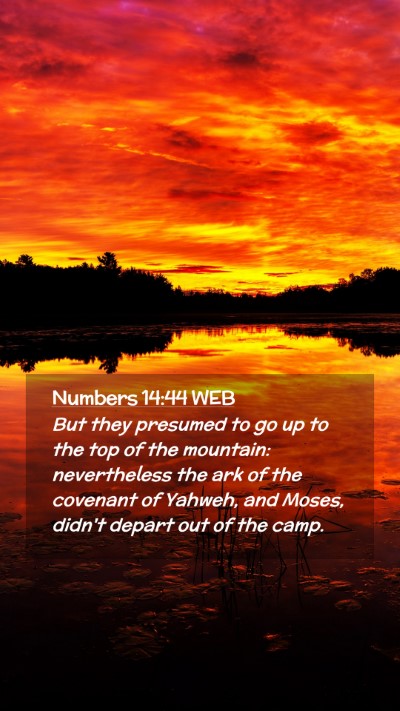 Picture 02 - Numbers 14:44 WEB Mobile Phone Wallpaper - But they presumed to go up to the top of the - Mobile Bible Verse Wallpaper