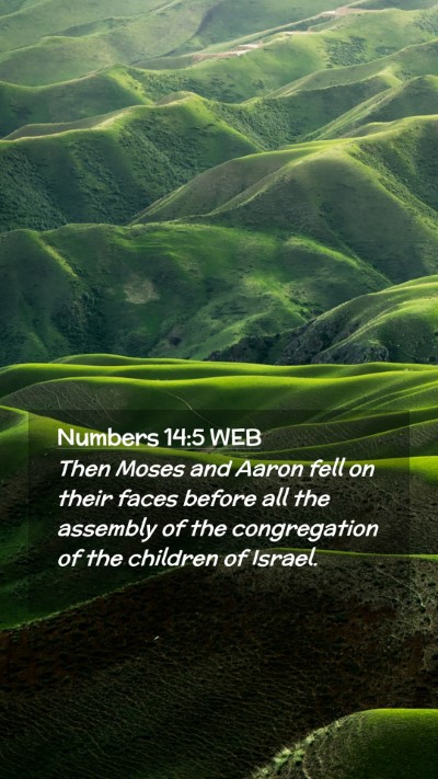 Picture 02 - Numbers 14:5 WEB Mobile Phone Wallpaper - Then Moses and Aaron fell on their faces before - Mobile Bible Verse Wallpaper