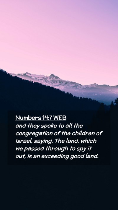 Picture 02 - Numbers 14:7 WEB Mobile Phone Wallpaper - and they spoke to all the congregation of the - Mobile Bible Verse Wallpaper